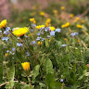 Meet your Posher, Deepinder